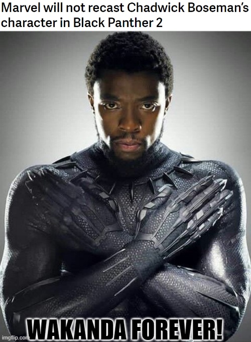 RIP Chadwick Boseman.  He will always be the one true Black Panther.... | WAKANDA FOREVER! | image tagged in chadwick boseman,black panther,wakanda forever,marvel,marvel cinematic universe,marvel comics | made w/ Imgflip meme maker