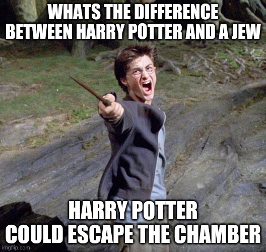 Harry potter | WHATS THE DIFFERENCE BETWEEN HARRY POTTER AND A JEW; HARRY POTTER COULD ESCAPE THE CHAMBER | image tagged in harry potter | made w/ Imgflip meme maker