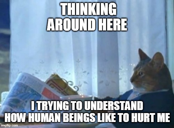 I Should Buy A Boat Cat | THINKING AROUND HERE; I TRYING TO UNDERSTAND HOW HUMAN BEINGS LIKE TO HURT ME | image tagged in memes,i should buy a boat cat | made w/ Imgflip meme maker