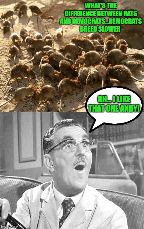 yep | WHAT'S THE DIFFERENCE BETWEEN RATS AND DEMOCRATS...DEMOCRATS BREED SLOWER; OH... I LIKE THAT ONE ANDY! | image tagged in democrats,communism,joe biden | made w/ Imgflip meme maker