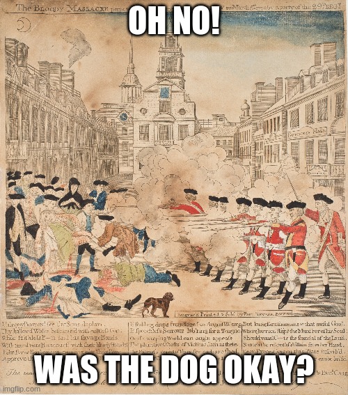 d o g | OH NO! WAS THE DOG OKAY? | image tagged in memes | made w/ Imgflip meme maker