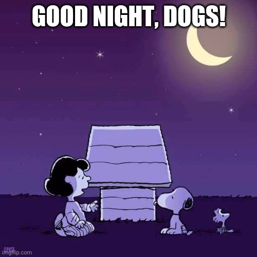 Good night  | GOOD NIGHT, DOGS! | image tagged in good night | made w/ Imgflip meme maker