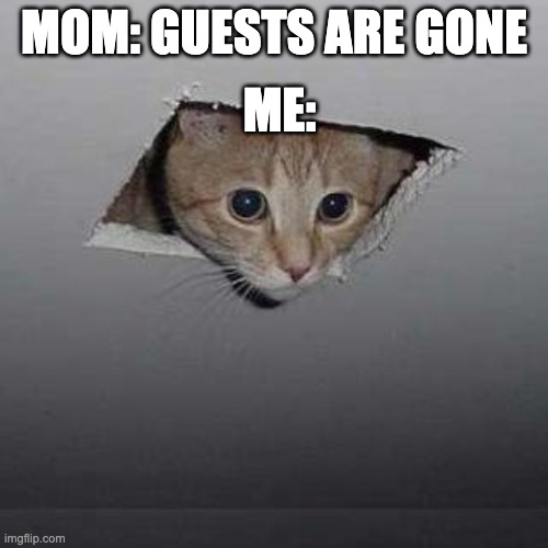 Ceiling Cat Meme | ME:; MOM: GUESTS ARE GONE | image tagged in memes,ceiling cat | made w/ Imgflip meme maker