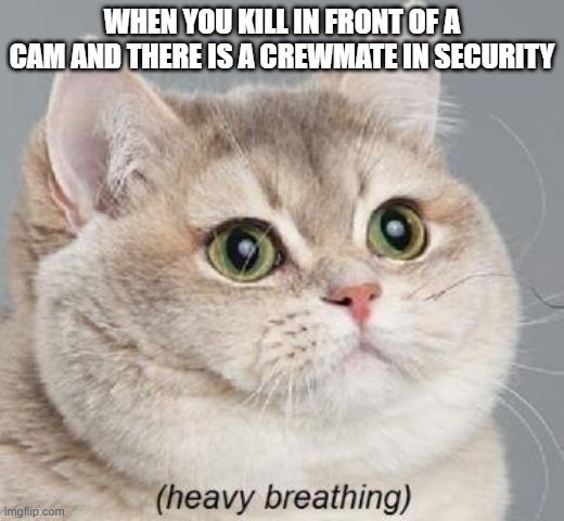 Heavy Breathing Cat | WHEN YOU KILL IN FRONT OF A CAM AND THERE IS A CREWMATE IN SECURITY | image tagged in memes,heavy breathing cat | made w/ Imgflip meme maker