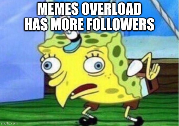 here | MEMES OVERLOAD HAS MORE FOLLOWERS | image tagged in memes,mocking spongebob | made w/ Imgflip meme maker