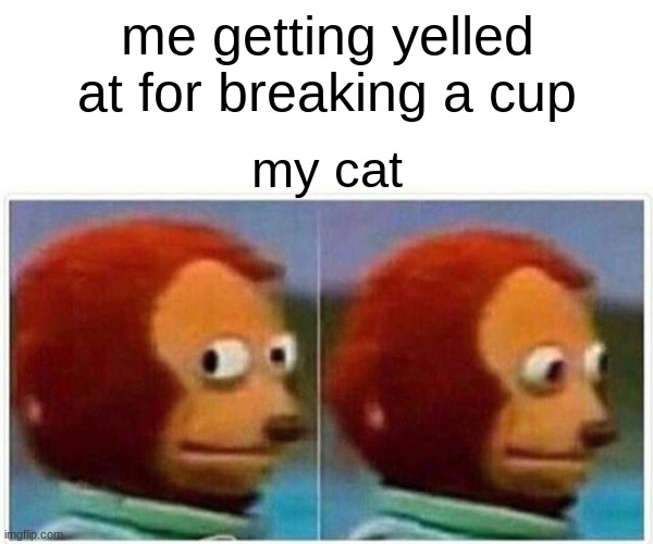 Monkey Puppet Meme | me getting yelled at for breaking a cup; my cat | image tagged in memes,monkey puppet | made w/ Imgflip meme maker
