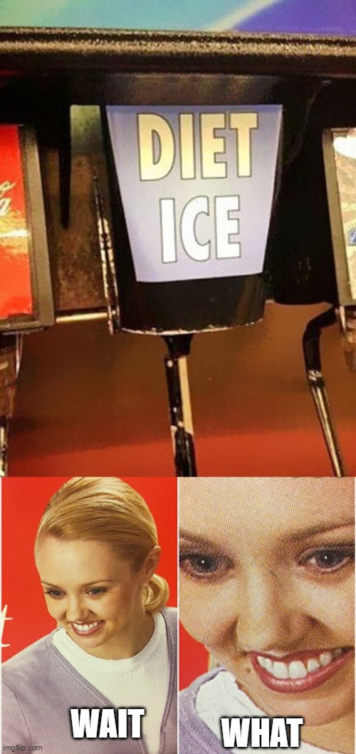 Diet ice | WHAT; WAIT | image tagged in wait what | made w/ Imgflip meme maker