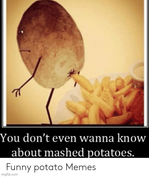 Potato! (tags) | image tagged in the,fries,are,poop | made w/ Imgflip meme maker