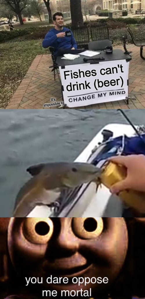 YOU DARE OPPOSE ME, MORTAL? (tags) | Fishes can't drink (beer); It's impossible to | image tagged in fish,drinking,beer | made w/ Imgflip meme maker