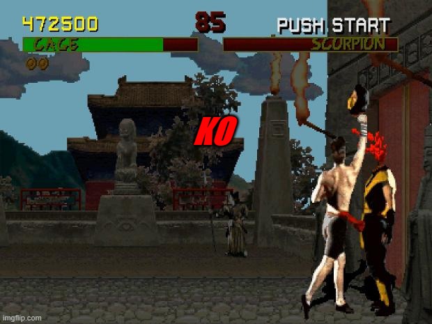 Fatality Mortal Kombat | KO | image tagged in fatality mortal kombat | made w/ Imgflip meme maker