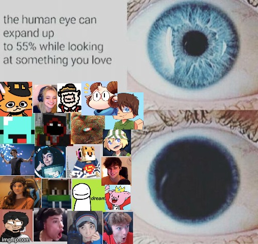 Me when Minecraft YouTubers | image tagged in minecraft | made w/ Imgflip meme maker