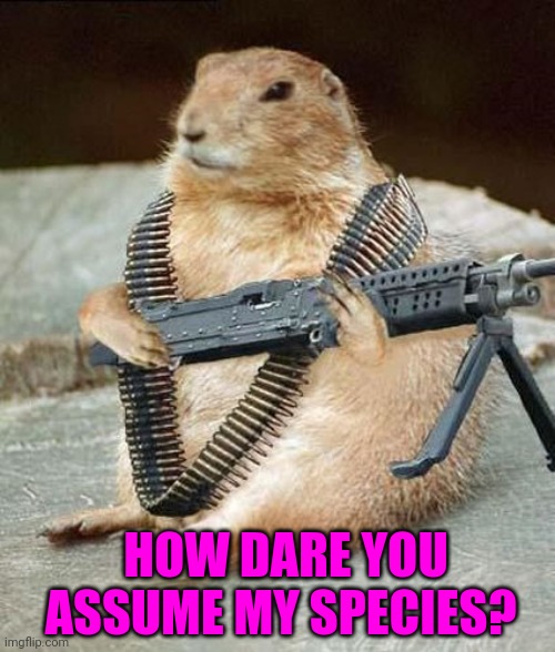 Gerbil rights | HOW DARE YOU ASSUME MY SPECIES? | image tagged in lemmywinks gerbil gay rights,gerbils,rats,guns | made w/ Imgflip meme maker