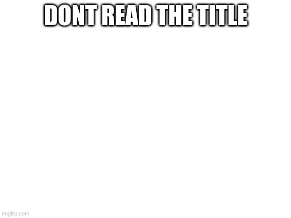 dont read the tags | DONT READ THE TITLE | image tagged in dont read my comment | made w/ Imgflip meme maker