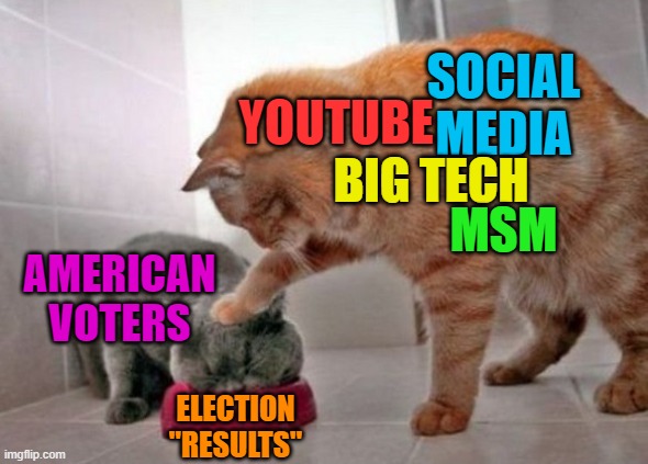 Yep.... | SOCIAL MEDIA; YOUTUBE; BIG TECH; MSM; AMERICAN VOTERS; ELECTION "RESULTS" | image tagged in memes,political meme,2020 elections,voter fraud,biased media | made w/ Imgflip meme maker