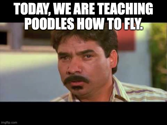 Lets See If Anyone Knows What Movie This Is From(First Person To Guess Correctly Tells Me What Meme To Make Next) | TODAY, WE ARE TEACHING POODLES HOW TO FLY. | made w/ Imgflip meme maker