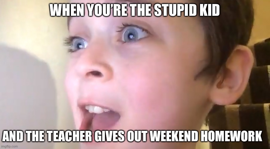 When the teacher gives weekend homework.... | WHEN YOU’RE THE STUPID KID; AND THE TEACHER GIVES OUT WEEKEND HOMEWORK | image tagged in slightly excited kid | made w/ Imgflip meme maker