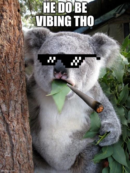 Surprised Koala Meme | HE DO BE VIBING THO | image tagged in memes,surprised koala | made w/ Imgflip meme maker