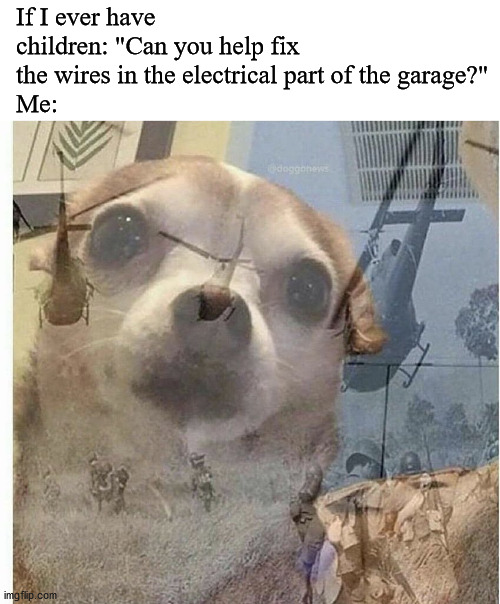 PTSD Chihuahua | If I ever have children: "Can you help fix the wires in the electrical part of the garage?"
Me: | image tagged in ptsd chihuahua | made w/ Imgflip meme maker