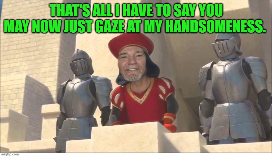 THAT'S ALL I HAVE TO SAY YOU MAY NOW JUST GAZE AT MY HANDSOMENESS. | made w/ Imgflip meme maker