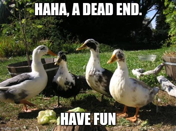 Try the comments | HAHA, A DEAD END. HAVE FUN | made w/ Imgflip meme maker