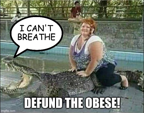 Hahaha, it rhymes | I CAN'T BREATHE; DEFUND THE OBESE! | image tagged in fat shame | made w/ Imgflip meme maker