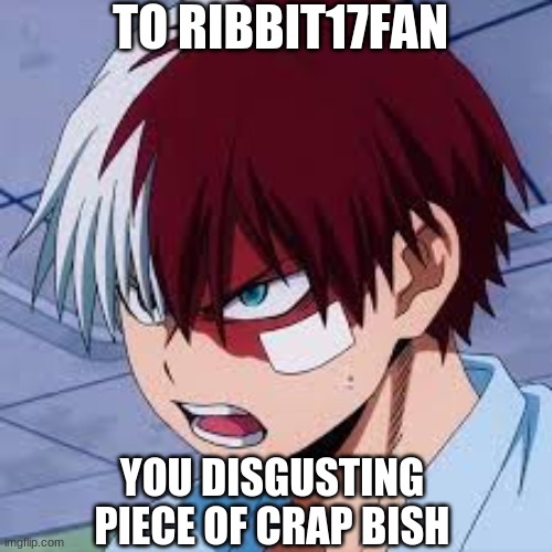 to ribbitfan17 | TO RIBBIT17FAN; YOU DISGUSTING PIECE OF CRAP BISH | image tagged in mha | made w/ Imgflip meme maker