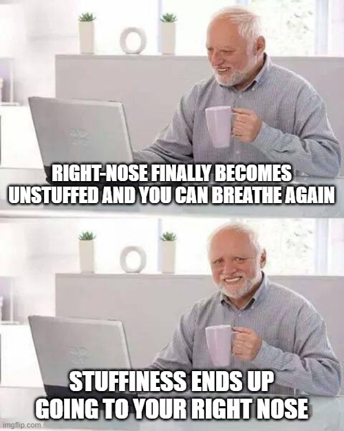 The most annoying thing to happen | RIGHT-NOSE FINALLY BECOMES UNSTUFFED AND YOU CAN BREATHE AGAIN; STUFFINESS ENDS UP GOING TO YOUR RIGHT NOSE | image tagged in memes,hide the pain harold | made w/ Imgflip meme maker