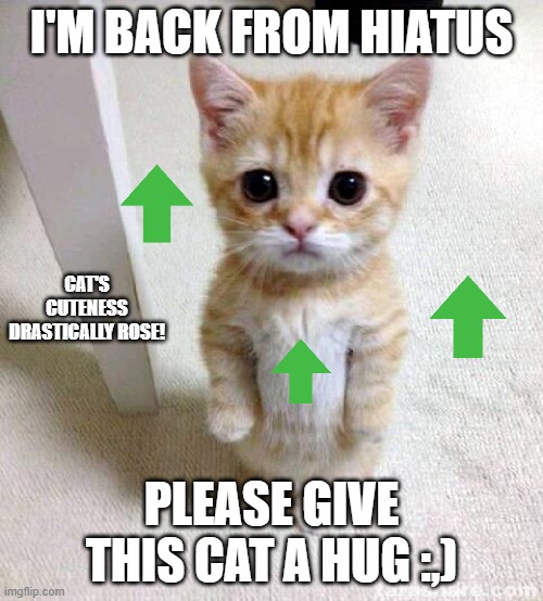 Cute Cat Meme | I'M BACK FROM HIATUS; CAT'S CUTENESS DRASTICALLY ROSE! PLEASE GIVE THIS CAT A HUG :,) | image tagged in memes,cute cat | made w/ Imgflip meme maker