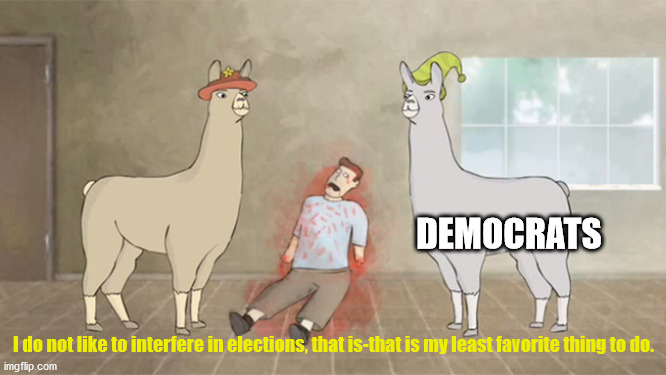 "We didn't report on Hunter Biden, because we wouldn't want to interfere in an election." ~idiots (not verbatim) | DEMOCRATS; I do not like to interfere in elections, that is-that is my least favorite thing to do. | image tagged in llamas with hats dead guy | made w/ Imgflip meme maker