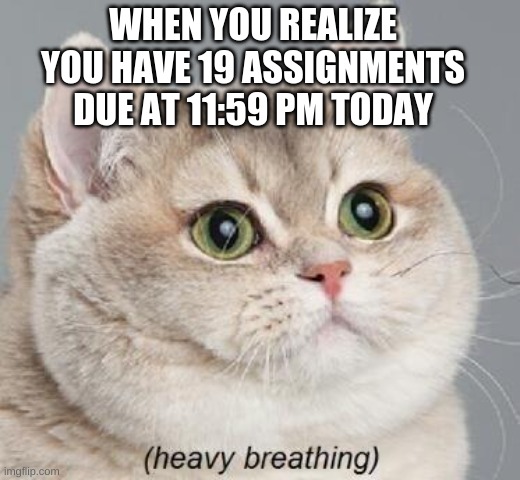 Literally happening to me rn | WHEN YOU REALIZE YOU HAVE 19 ASSIGNMENTS DUE AT 11:59 PM TODAY | image tagged in memes,heavy breathing cat,online school | made w/ Imgflip meme maker