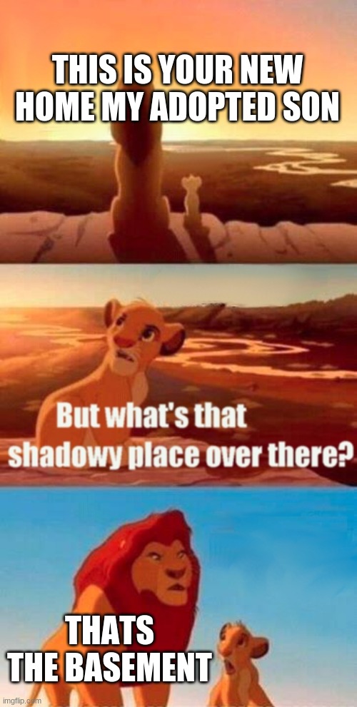Simba Shadowy Place | THIS IS YOUR NEW HOME MY ADOPTED SON; THATS THE BASEMENT | image tagged in memes,simba shadowy place | made w/ Imgflip meme maker