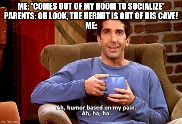 Ross Humor based on my pain | ME: *COMES OUT OF MY ROOM TO SOCIALIZE*
PARENTS: OH LOOK, THE HERMIT IS OUT OF HIS CAVE!
ME: | image tagged in ross humor based on my pain | made w/ Imgflip meme maker