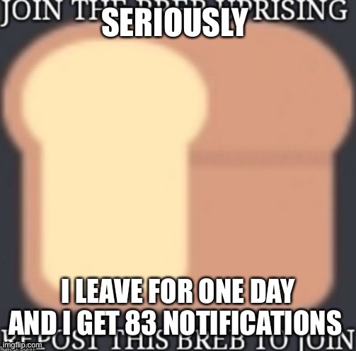 SERIOUSLY; I LEAVE FOR ONE DAY AND I GET 83 NOTIFICATIONS | made w/ Imgflip meme maker