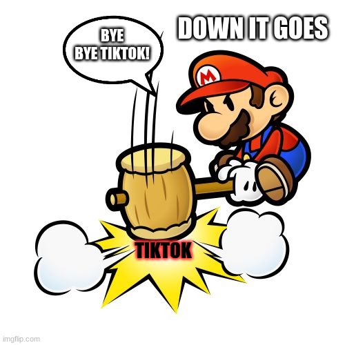 ha ha tiktok | BYE BYE TIKTOK! DOWN IT GOES; TIKTOK | image tagged in memes,mario hammer smash | made w/ Imgflip meme maker