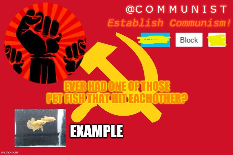 lol you can only block me (no-No dont block me) | EVER HAD ONE OF THOSE PET FISH THAT HIT EACHOTHER? EXAMPLE | image tagged in communist | made w/ Imgflip meme maker