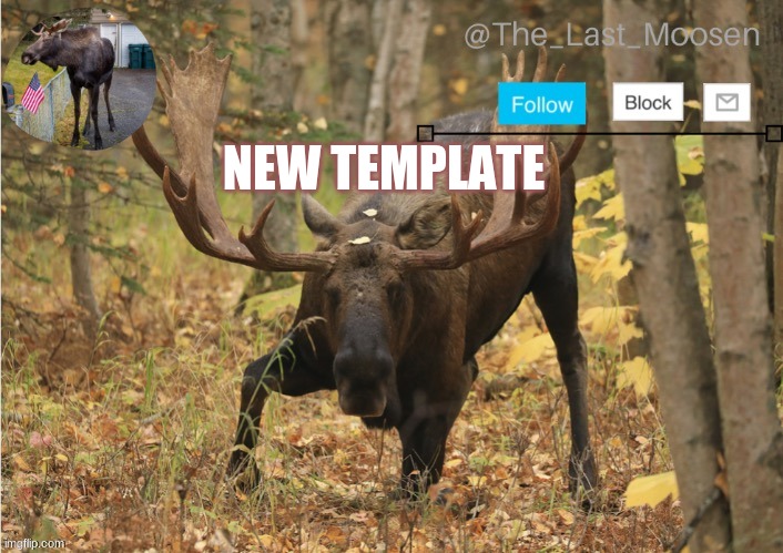 NEW TEMPLATE | made w/ Imgflip meme maker