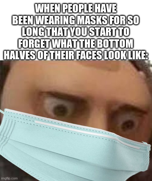 True story | WHEN PEOPLE HAVE BEEN WEARING MASKS FOR SO LONG THAT YOU START TO FORGET WHAT THE BOTTOM HALVES OF THEIR FACES LOOK LIKE: | image tagged in gru face | made w/ Imgflip meme maker