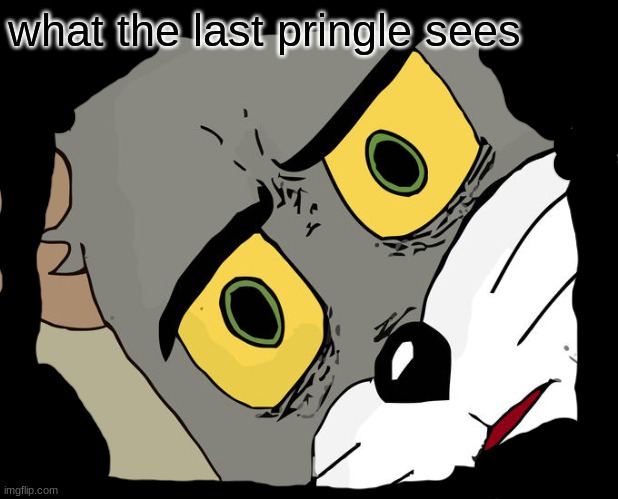 Unsettled Tom | what the last pringle sees | image tagged in memes,unsettled tom | made w/ Imgflip meme maker