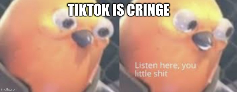 Listen here you little shit bird | TIKTOK IS CRINGE | image tagged in listen here you little shit bird | made w/ Imgflip meme maker