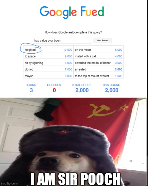 Arrested ;D | I AM SIR POOCH | image tagged in google feud | made w/ Imgflip meme maker