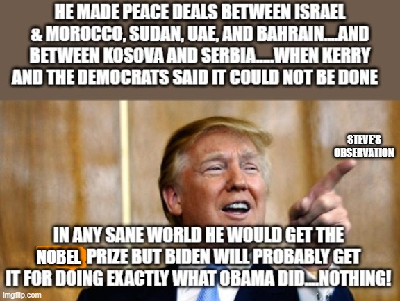 politics | NOBEL; STEVE'S OBSERVATION | image tagged in political meme | made w/ Imgflip meme maker