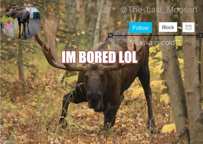 IM BORED LOL | made w/ Imgflip meme maker