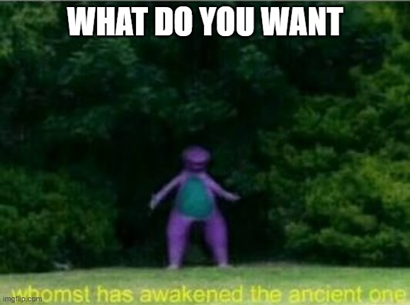 Whomst has awakened the ancient one | WHAT DO YOU WANT | image tagged in whomst has awakened the ancient one | made w/ Imgflip meme maker