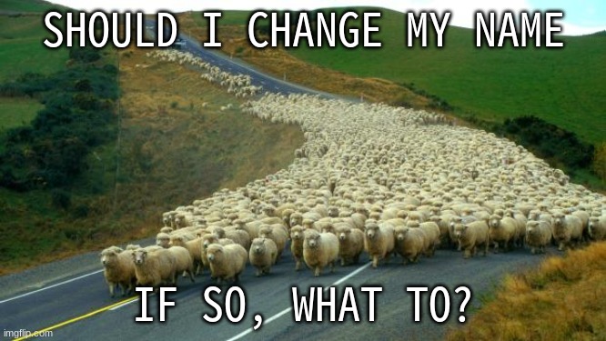 sheep | SHOULD I CHANGE MY NAME; IF SO, WHAT TO? | image tagged in sheep | made w/ Imgflip meme maker