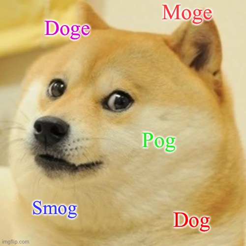 Doge | Moge; Doge; Pog; Smog; Dog | image tagged in memes,doge | made w/ Imgflip meme maker