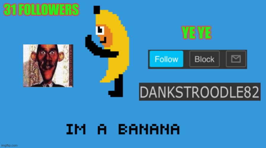 DaNkStRoOdLe69 | 31 FOLLOWERS; YE YE | image tagged in dankstroodle82 | made w/ Imgflip meme maker