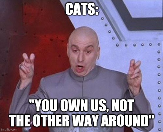 Dr Evil Laser | CATS:; "YOU OWN US, NOT THE OTHER WAY AROUND" | image tagged in memes,dr evil laser | made w/ Imgflip meme maker