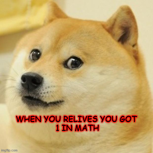 Doge Meme | WHEN YOU RELIVES YOU GOT 
1 IN MATH | image tagged in memes,doge | made w/ Imgflip meme maker