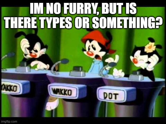 Animaniacs | IM NO FURRY, BUT IS THERE TYPES OR SOMETHING? | image tagged in animaniacs | made w/ Imgflip meme maker