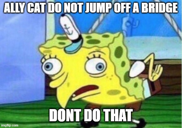 Mocking Spongebob Meme | ALLY CAT DO NOT JUMP OFF A BRIDGE; DONT DO THAT | image tagged in memes,mocking spongebob | made w/ Imgflip meme maker